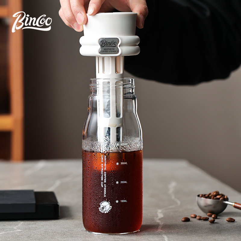 Bincoo 600ML Summer Cold Brew  - Cold Brew Bottle recensione e prezzo