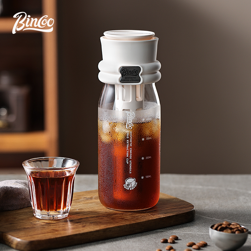 Bincoo 600ML Summer Cold Brew  - Cold Brew Bottle recensione e prezzo
